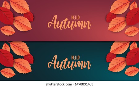 Abstract colorful leaves decorated  background for  Hello Autumn advertising header or banner design.  Vector Illustration.