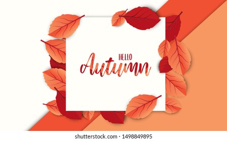 Abstract colorful leaves decorated  background for  Hello Autumn advertising header or banner design.  Vector Illustration.