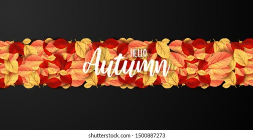 Abstract colorful leaves decorated  background for  Hello Autumn advertising header or banner design.  Vector Illustration.