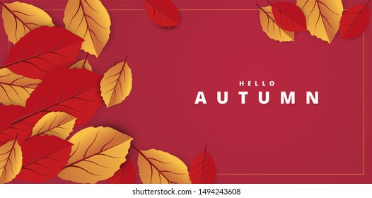 Abstract colorful leaves decorated white background for Hello Autumn advertising header or banner design.
