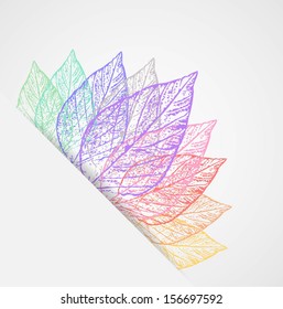 abstract colorful leaves vector