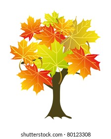 abstract colorful maple tree. Isolation over white background.