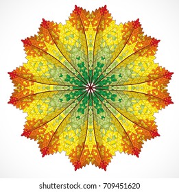 Abstract colorful ornament. Illustration 10 version