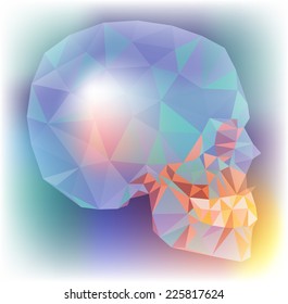 abstract colorful skull