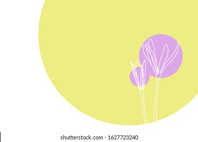 Abstract colorful spring background with minimalist single line crocus flowers. Vector illustration