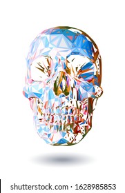 Abstract colorful triangle polygonal geometric human skull vector illustration isolated on white background