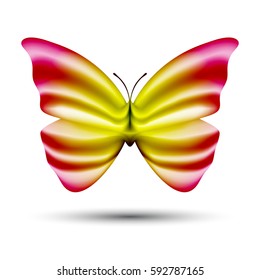 abstract colorful vector butterfly isolated on white background