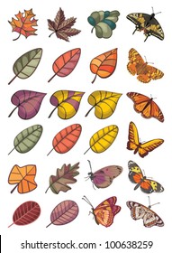 abstract colorful vector collection of different leaves and butterflies