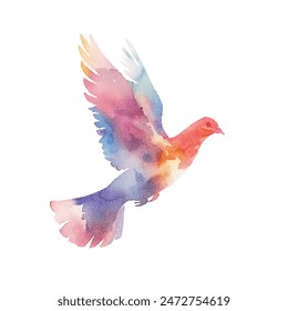 abstract colour silhouette of flying dove vector illustration in watercolor style