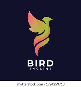 Abstract colourful bird logo design template vector