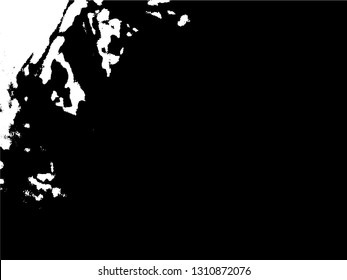 Abstract composition for design elements. Black and white painting on canvas with brush strokes. Abstract art background. Vector.