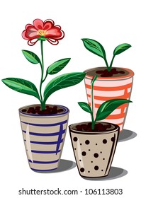  Abstract  composition of flower and pots isolated on white