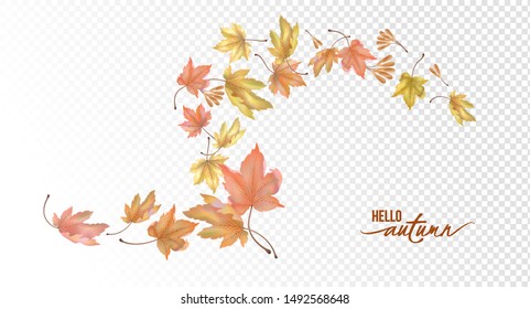 Abstract composition with flying autumn leaves and seeds