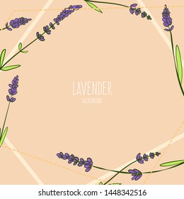 Abstract composition with hand drawn sketch lavender. Minimalistic colorful vector design for banner, frames, greeting card.