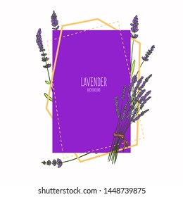Abstract composition with hand drawn sketch lavender. Minimalistic colorful vector design for banner, frames, greeting card isolated on white background.