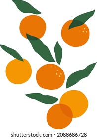 Abstract composition with mandarines and leaves. Vector graphic hand drawn illustration