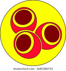 composição abstrata de círculos aninhados em negrito