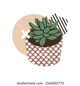 Abstract composition with plant and Memphis style elements. Succulents and cactus, small decorative plants. Vector illustration for website or plant shop. Isolated element on white background.