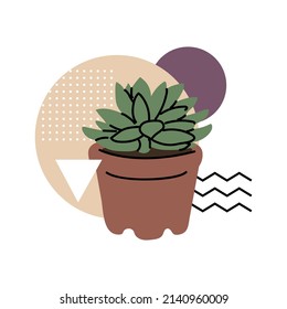 Abstract composition with plant and Memphis style elements. Succulents and cactus, small decorative plants. Vector illustration for website or plant shop. Isolated element on white background.