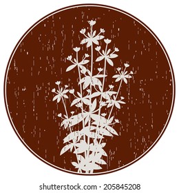 Abstract composition with silhouette of twigs of oregano flowers on dark round background. Scratched elements and grange style like gravure. Engraved spice herb series. Vector file is grouped EPS8.