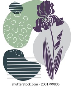 Abstract composition of spots, stripes and iris flower. Design element.