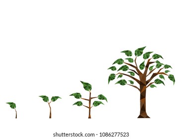 Abstract concept of low poly polygon natural tree growth on white isolated background us in digital financial banking investment technology transformation