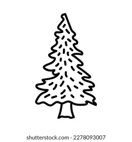 abstract conifer pine fir needle trees collection