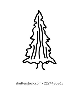 abstract conifer pine fir needle trees collection