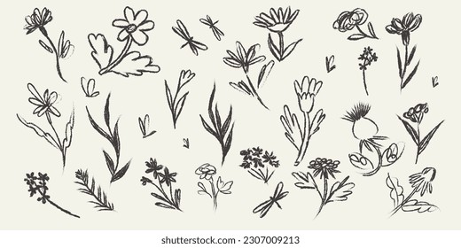 Abstract contemporary flowers with textures. Modern vector illustration. Small hand-drawn flowers set. Wild flowers and plants in charcoal or crayon drawing style. Pencil drawn branches and stems.