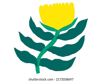 Resumen de la moderna y moderna ilustración vectorial. Dibujar a mano formas y doodle flores y elementos de diseño de plantas. Perfecto para afiches, posts en instagram, stickers.