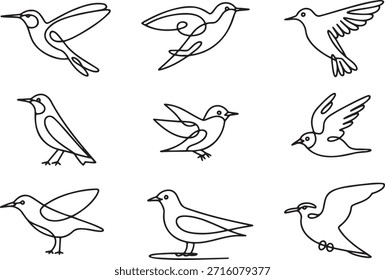 Dibujos Abstractas de líneas continuas de nueve aves diferentes de colección. Ilustraciones minimalistas de contorno negro de colibrí volador, gorrión, paloma y otras aves silvestres. Iconos gráficos simples del vector convenientes para el diseño del logotipo o los temas ornitológicos en fondo transparente.