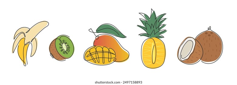 Abstract continuous line drawn fruit collection. Doodle tropical fruits. Mango, coconut, pineapple, banana, kiwi icons. Ingredient for juice, smoothie, yogurt, cocktail. Package, label Design element