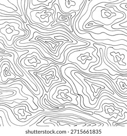 Abstract contour line background. Modern topographic pattern with organic curves and wavy lines. Minimal black and white vector texture perfect for posters, packaging, branding, and surface design.
