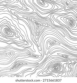 Abstract contour line background. Modern topographic pattern with organic curves and wavy lines. Minimal black and white vector texture perfect for posters, packaging, branding, and surface design.