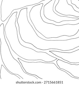 Fundo abstrato da linha de contorno. Padrão topográfico moderno com curvas orgânicas e linhas onduladas. Mínima textura vetorial preto e branco perfeito para cartazes, embalagem, marca e design de superfície.