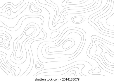 Abstract Contour Line Topographic Map Pattern in Black and White