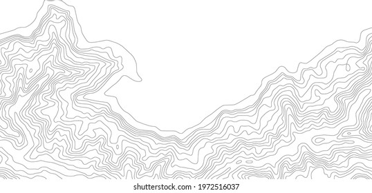 Abstract Contour Topographic Line Pattern in Black and White
