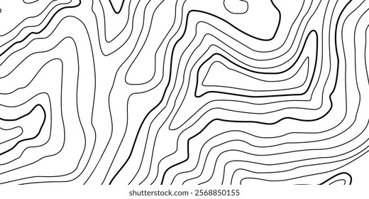 Abstract Contour Topographic Line Pattern in Black and White