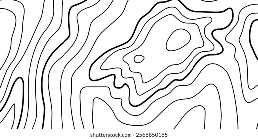 Abstract Contour Topographic Line Pattern in Black and White