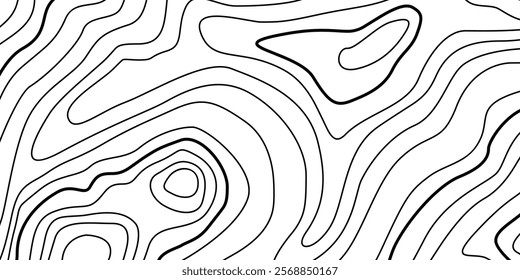 Abstract Contour Topographic Line Pattern in Black and White
