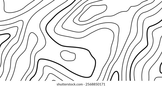 Abstract Contour Topographic Line Pattern in Black and White