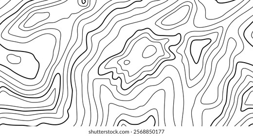 Abstract Contour Topographic Line Pattern in Black and White
