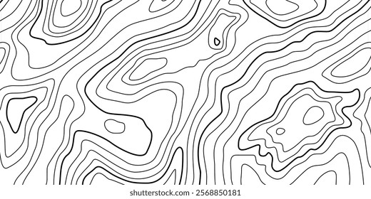 Abstract Contour Topographic Line Pattern in Black and White