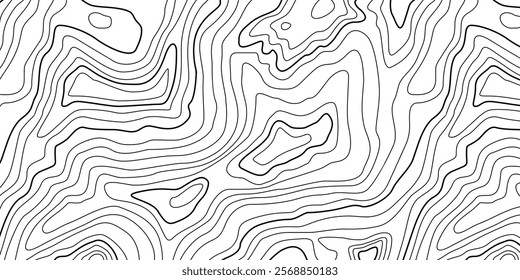 Abstract Contour Topographic Line Pattern in Black and White