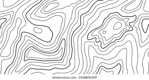 Abstract Contour Topographic Line Pattern in Black and White