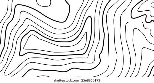 Abstract Contour Topographic Line Pattern in Black and White