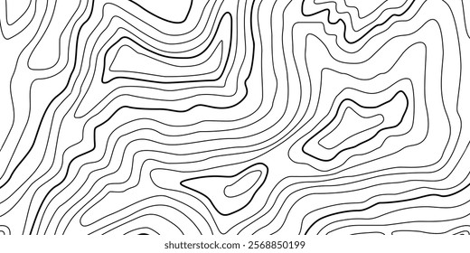 Abstract Contour Topographic Line Pattern in Black and White