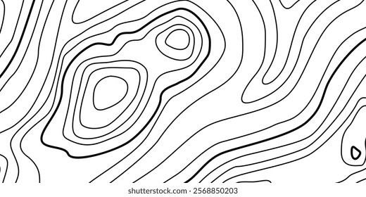 Abstract Contour Topographic Line Pattern in Black and White