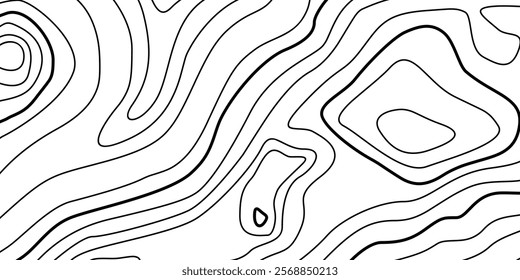 Abstract Contour Topographic Line Pattern in Black and White