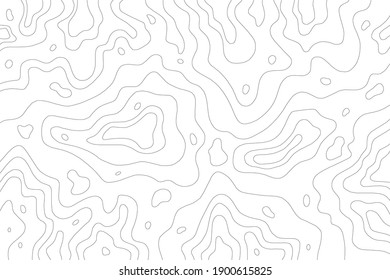 Abstract Contour Topographic  Map Pattern